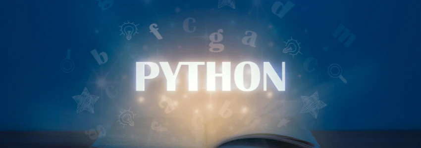 Python Programmer and Developer